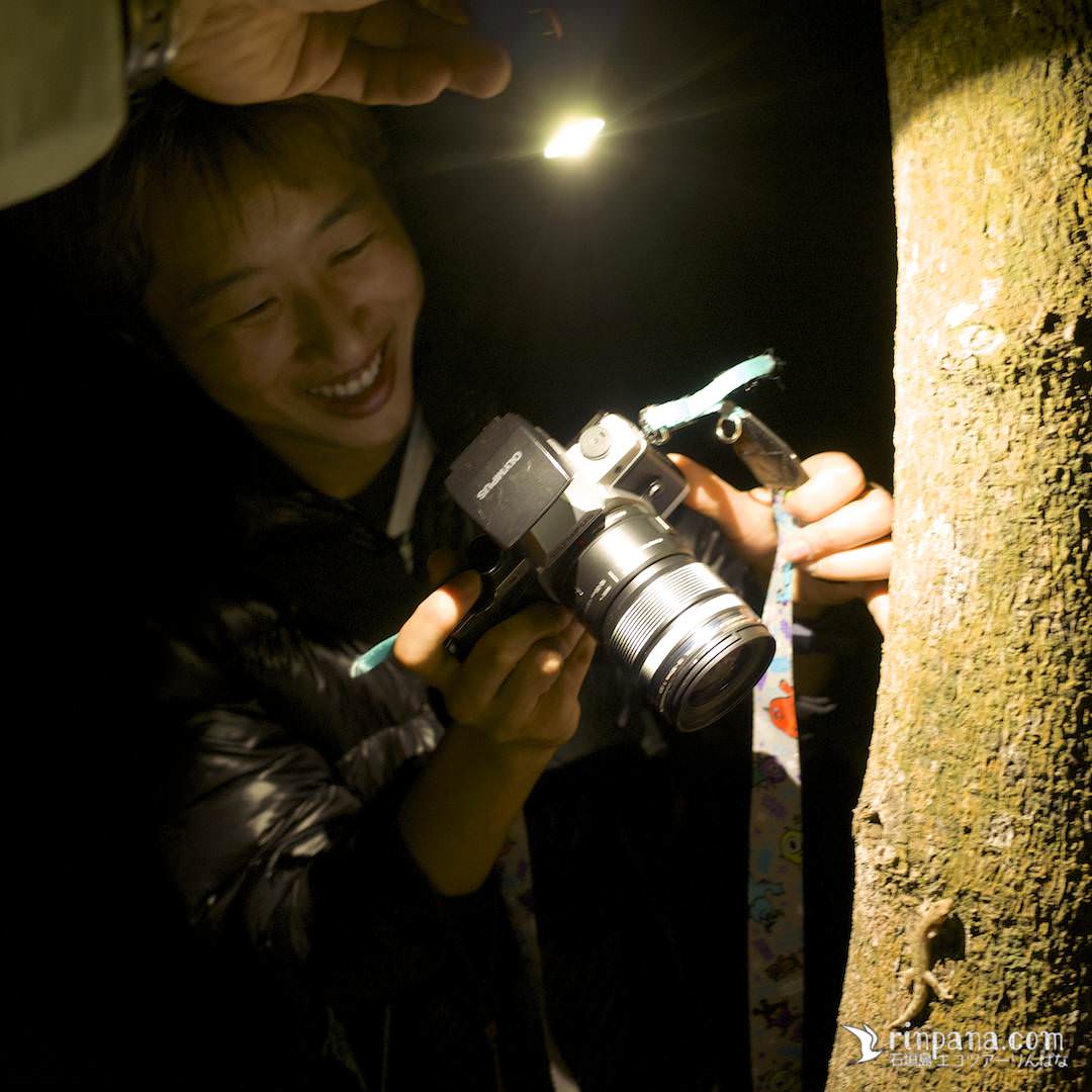楽しそうに夜行性生物の写真をとる