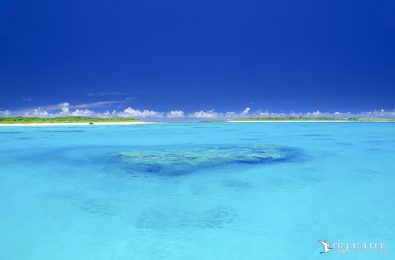 パナリ島の写真