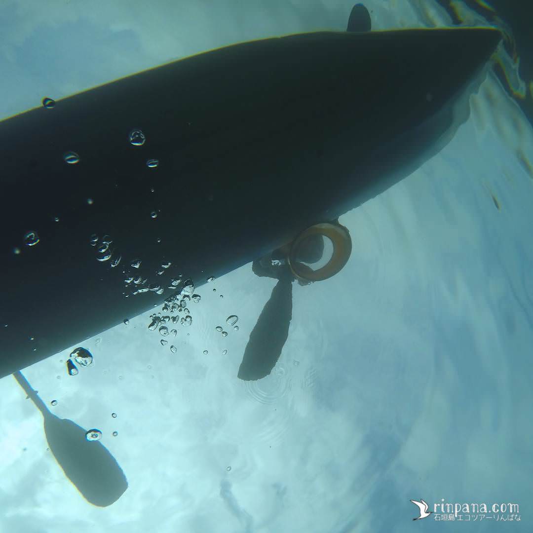 箱眼鏡をつかってカヌーの上からサンゴが見える