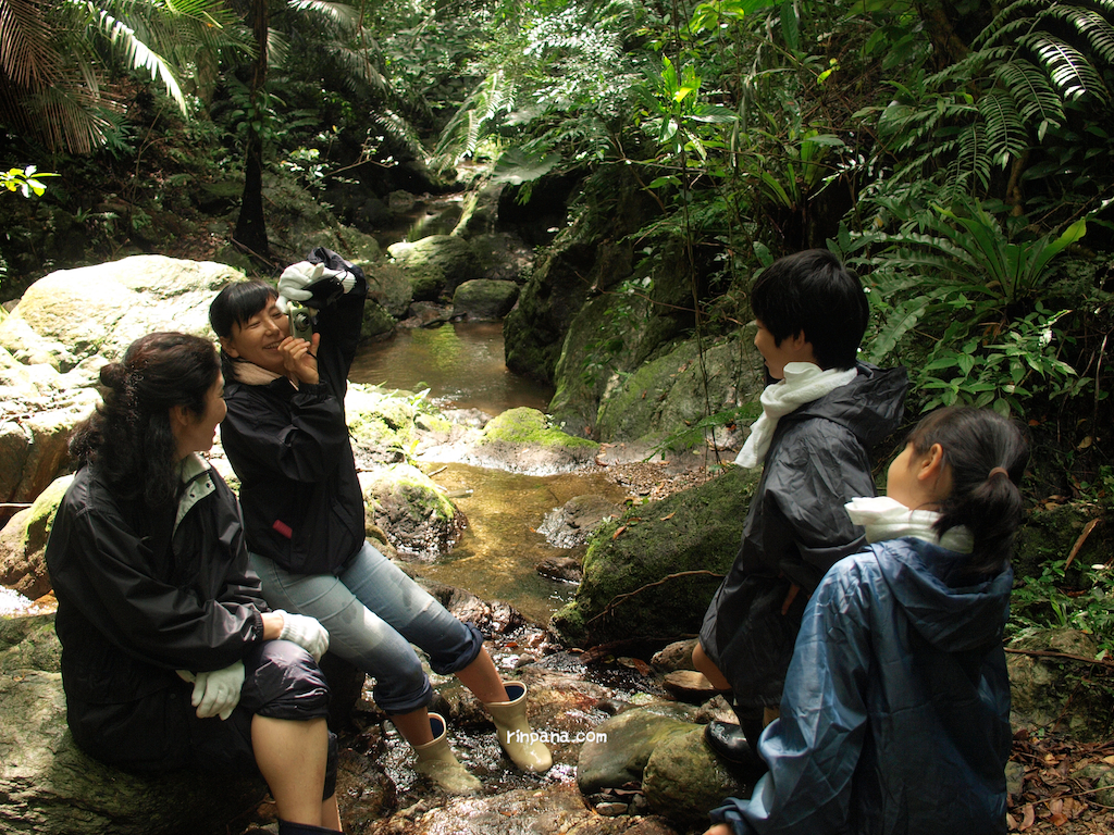 石垣島の森を歩くツアー