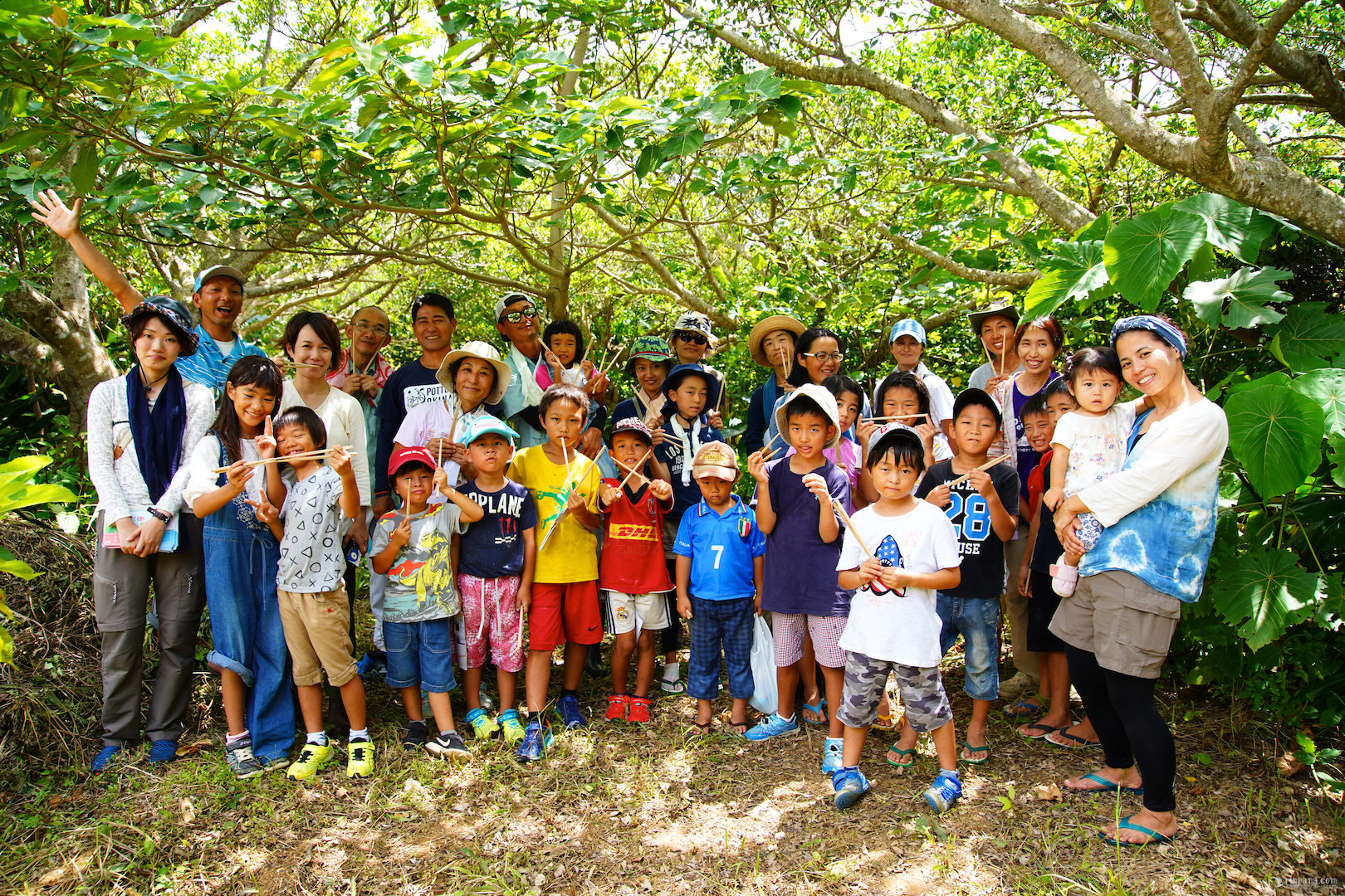 石垣島里山づくりプロジェクトで沢山の木が植りました