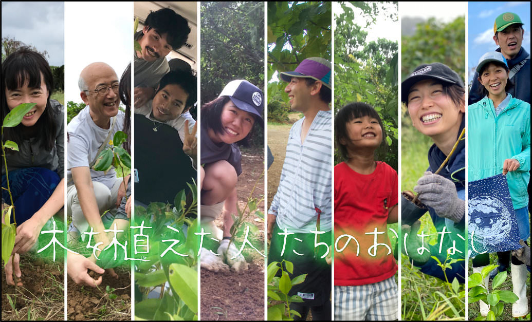 石垣島で木を植えている人たち