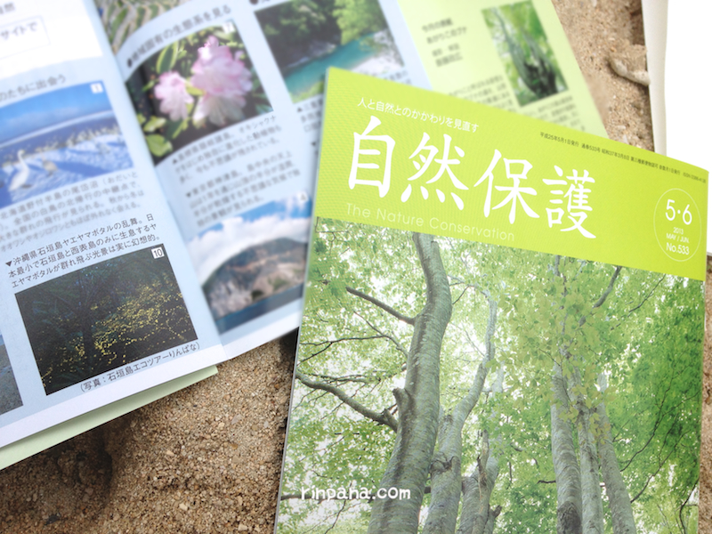 日本自然保護協会の会報誌にヤエヤマボタルの写真が載りました.
