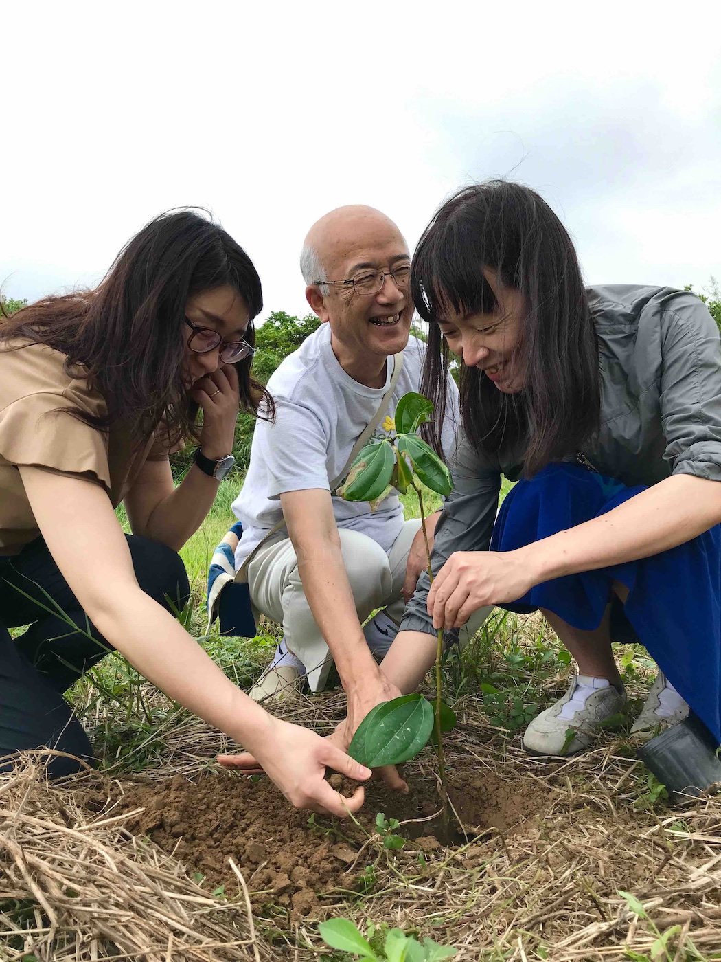 石垣島で木を植える人々