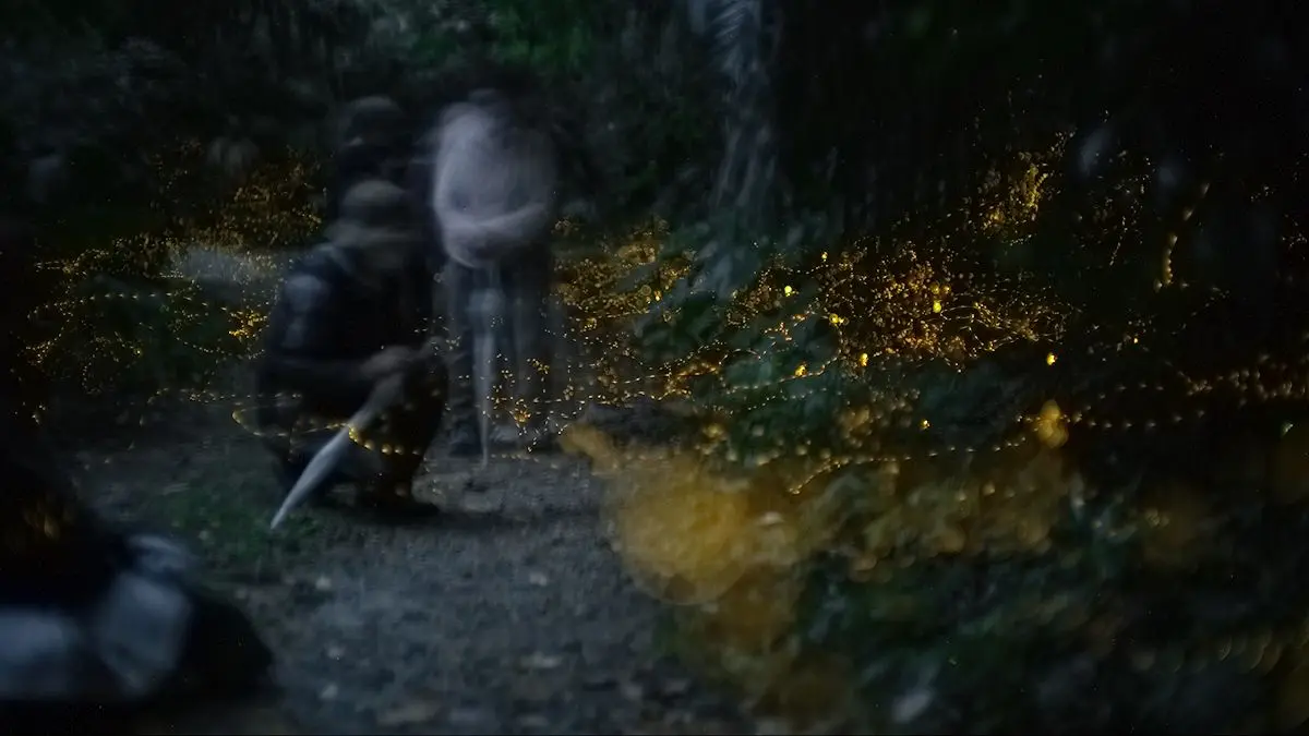 黄金色の光跡に包まれ、ホタルと同じ目線で静かに座って鑑賞を楽しむ参加者