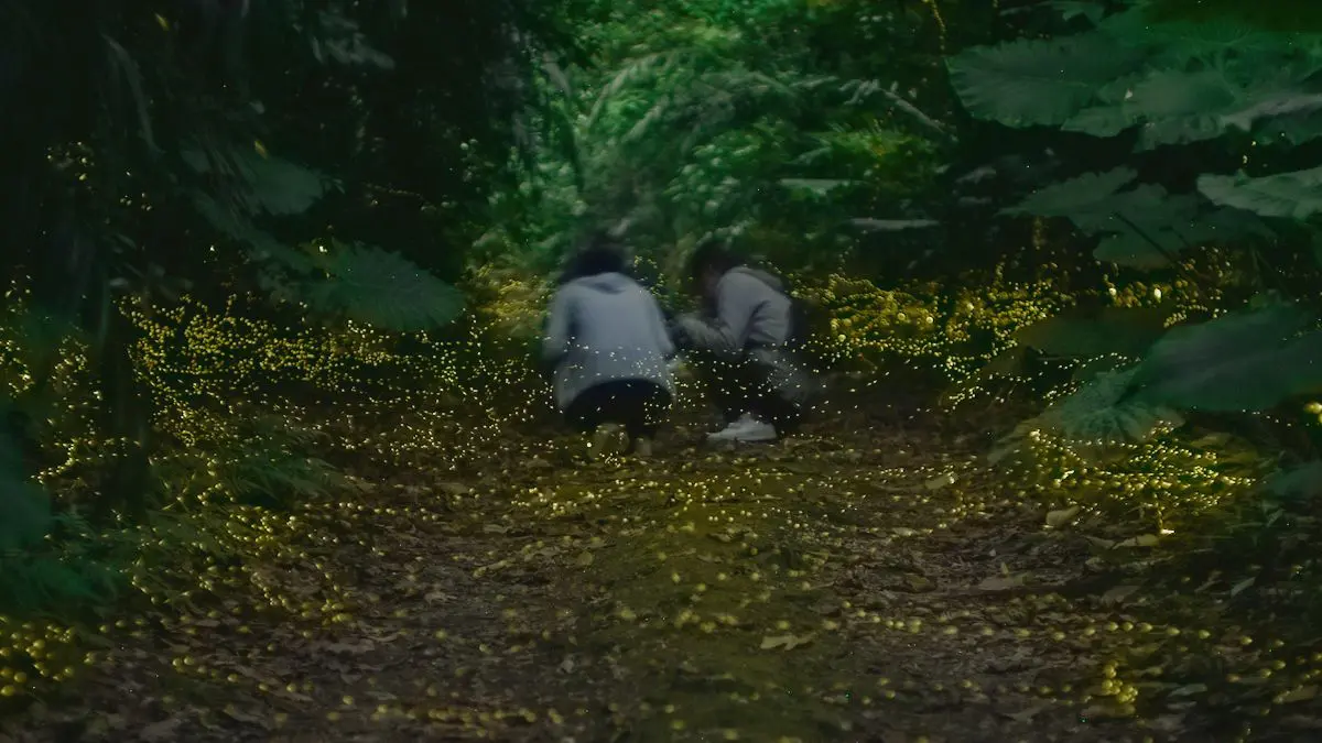 1日20名限定の専用フィールドで、静寂の中でホタルを観察するツアー参加者の様子