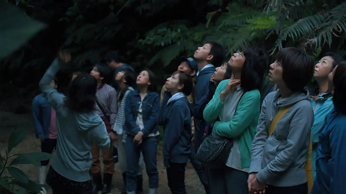 ガイドの解説に耳を傾け、夜の森の木々や生きものを見上げる知的好奇心にあふれた参加者たち