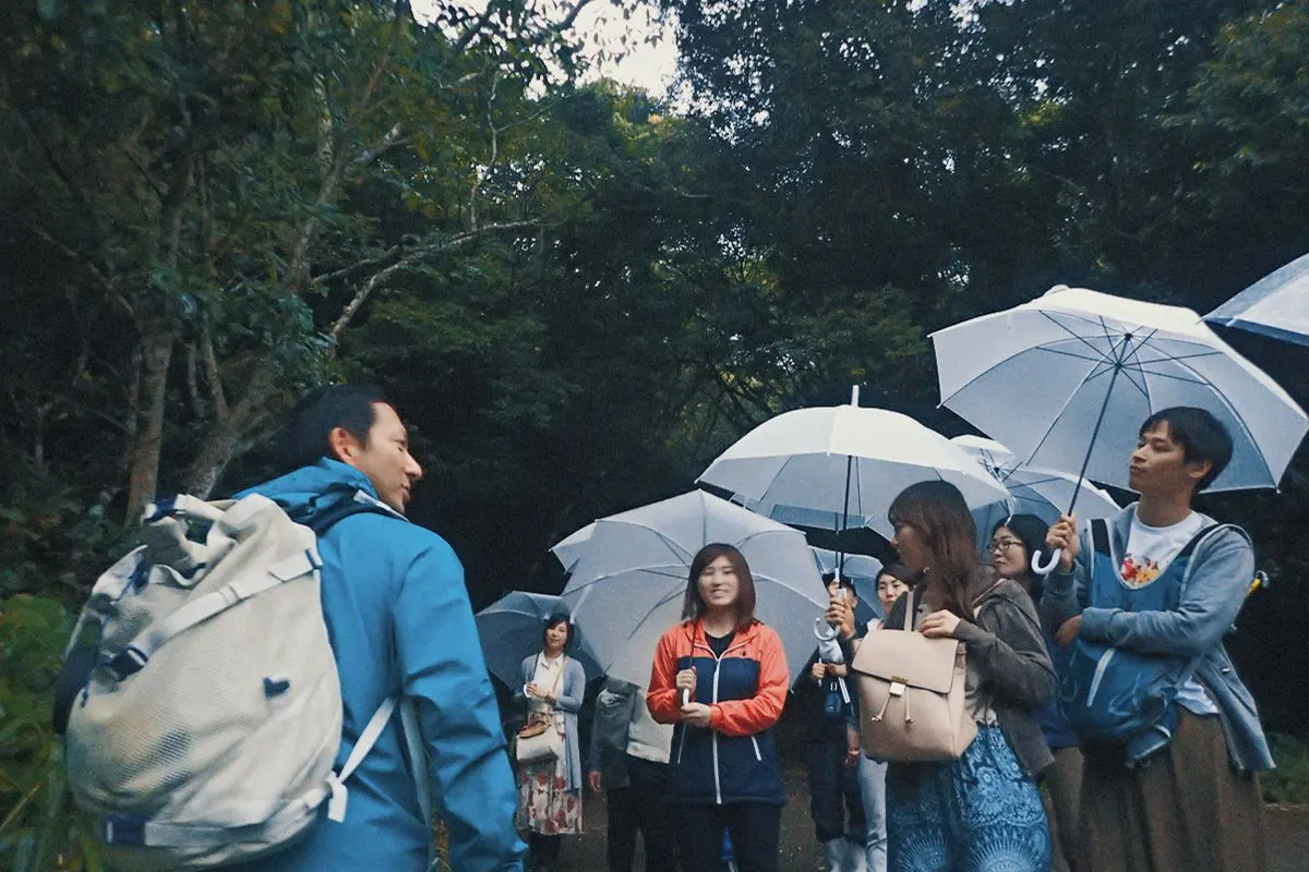 雨でも傘をさして夜の森を楽しむ参加者