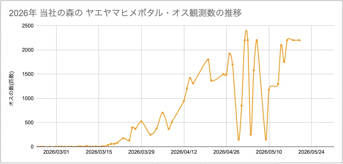 2026年石垣島りんぱな専用フィールドでのヤエヤマヒメボタルオス個体数モニタリンググラフ
